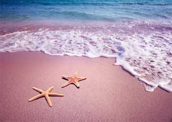 Short Stories about Making a Difference - Starfish Moral Inspirational Story