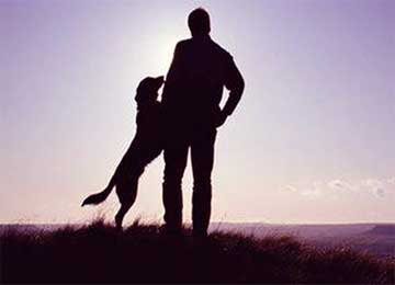 Man and Dog Friendship - Never Abandon Friend Beautiful Story with Moral for Kids