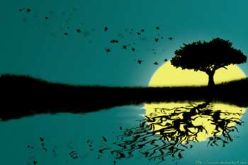 Spiritual Enlightenment Stories - Material Life vs Spiritual Life