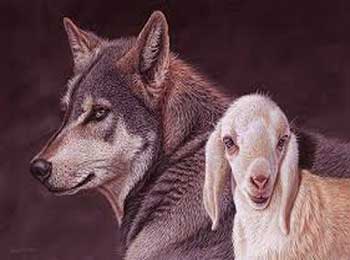 Wolf and Lamb Story - Short Classic Moral Stories for Kids on Cleverness