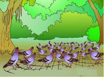 Pigeons Trapped in Net - Unity is Strength Moral Story for Kids