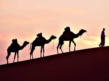 Imaginary Rope - Merchant and Camel Story