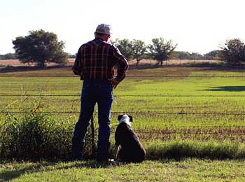 Farmer and His Dog - Story about Distractions in Life