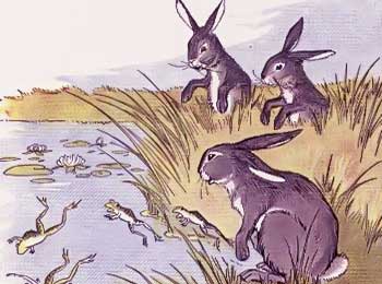 Frog and Rabbit Aesop Fable - Never Give Up