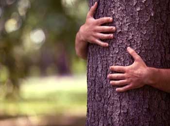 Sadhu Holding on Tree - Story about Bad Habit
