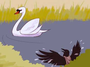 Crow Challenge to Swan - Arrogance Story
