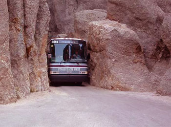 Bus Stuck in Tunnel - Story with Deep Meaning