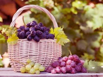 Basket of Grapes! King and Farmer Deep Meaning Story