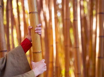 Quality of Bamboo - Saint Teaching to Disciple