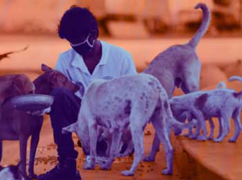 Puppies Waiting for Food - Story about Keeping Faith